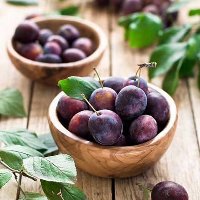 خواص آلو سیاه : ۲۸ فایده آلو سیاه برای سلامتی، پوست و مو