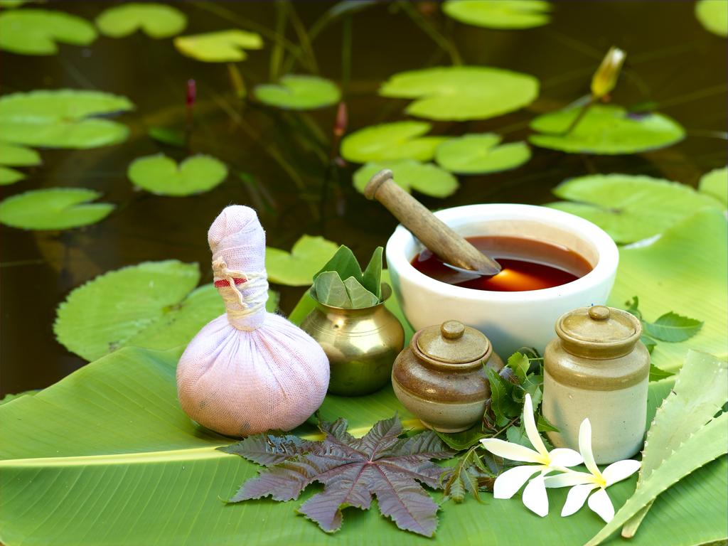 در مورد آیورودا چه می دانید؟