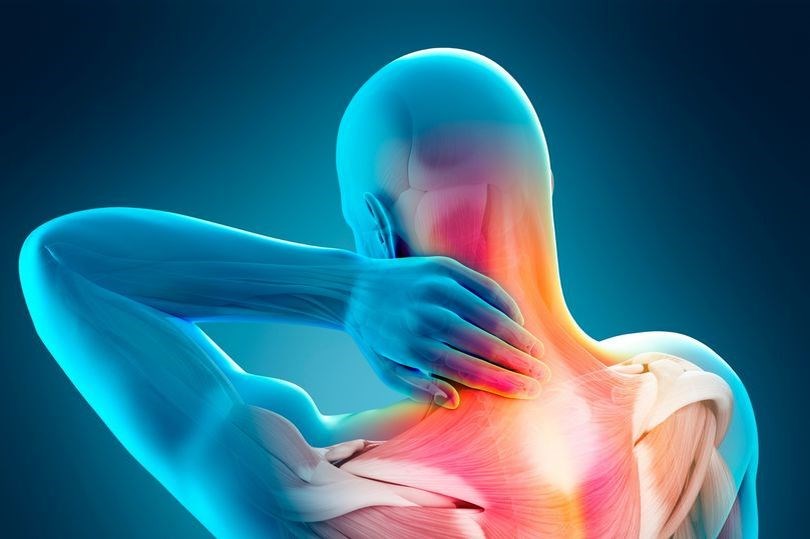 دردهای عضلانی علل ، پیشگیری و راه های درمان