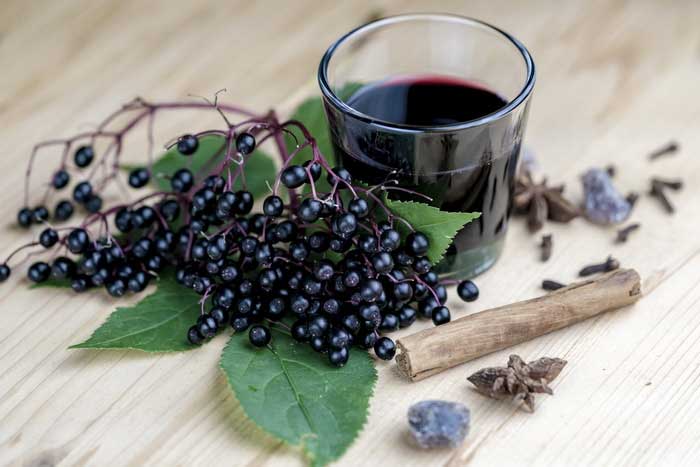 آقطی سیاه خواص دارویی و معرفی میوه آقطی سیاه