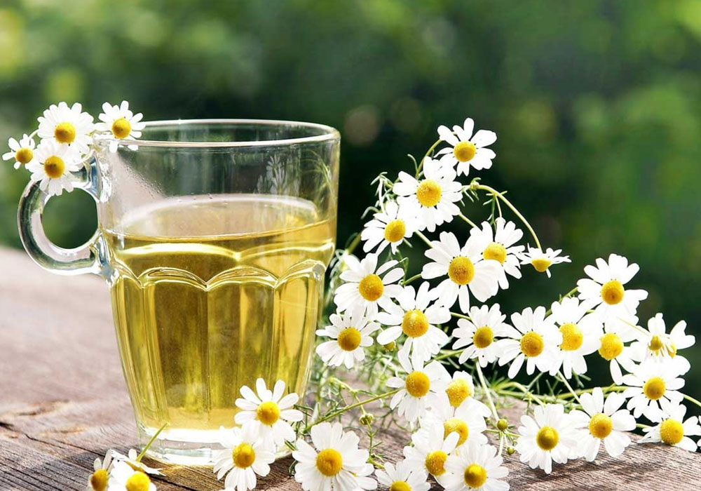 شیکانجی بابونه بخورید و کالری بسوزانید