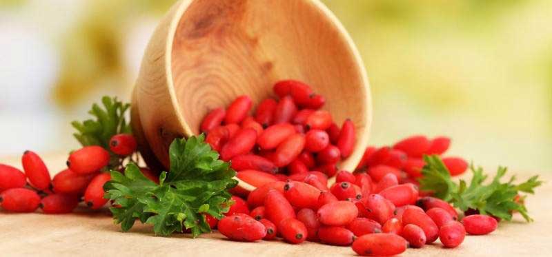 خواص زرشک : ۱۵ خاصیت زرشک برای سلامتی