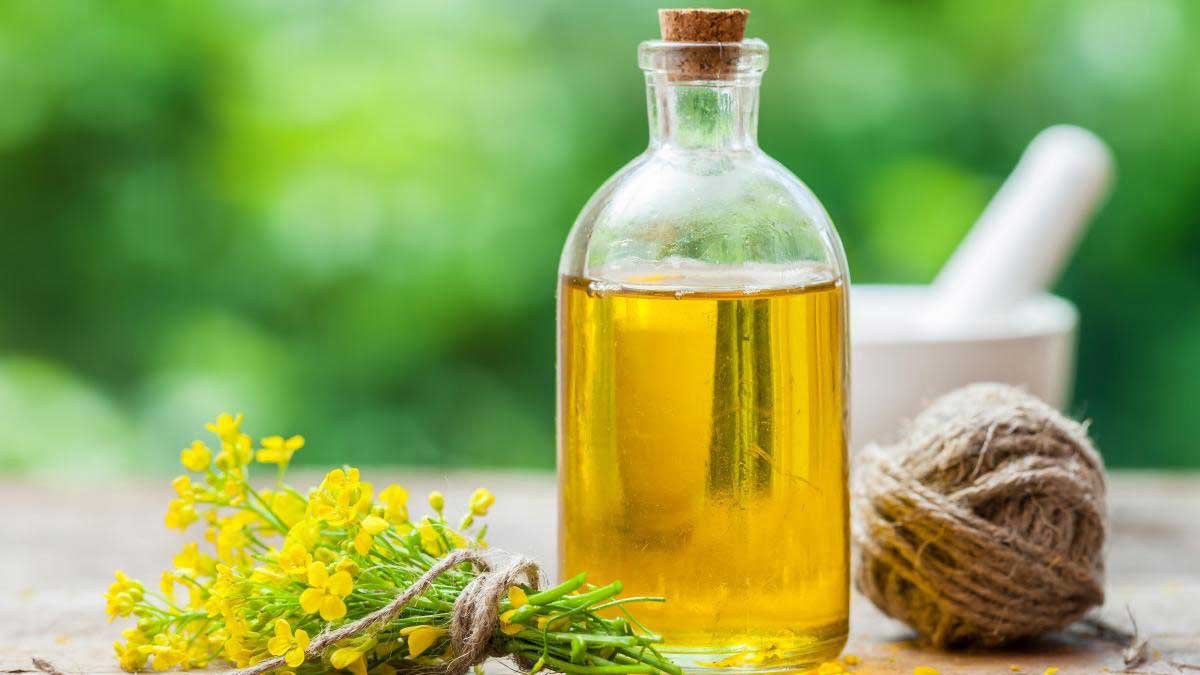 طرز تهیه 3 مدل ماسک مو خانگی برای احیایی مو