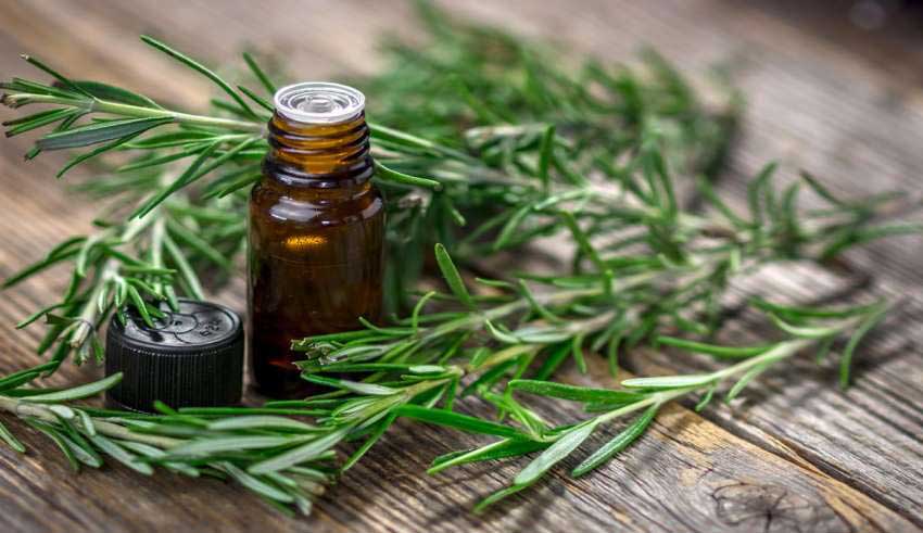 انواع روغن های گیاهی برای مراقبت از پوست و مو انواع روغن های گیاهی برای مراقبت از پوست و مو