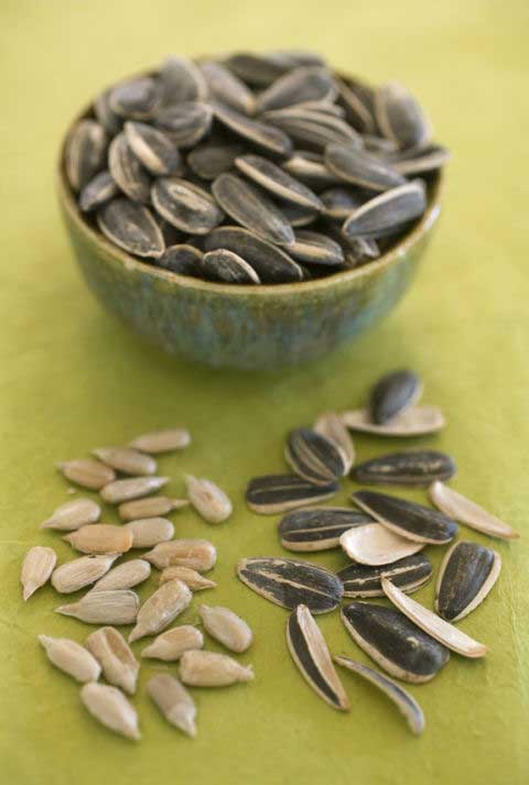 خوراکی های مفید برای پوست