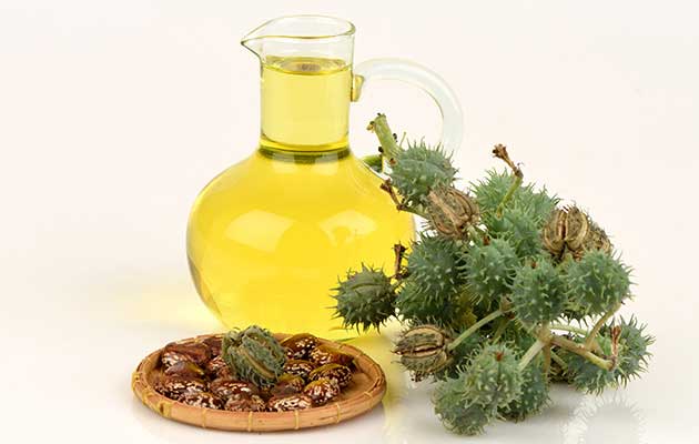 خواص روغن کرچک برای سلامتی و زیبایی