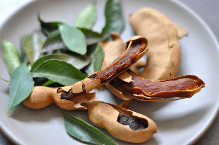خواص تمبر هندی و کاربردهای آن